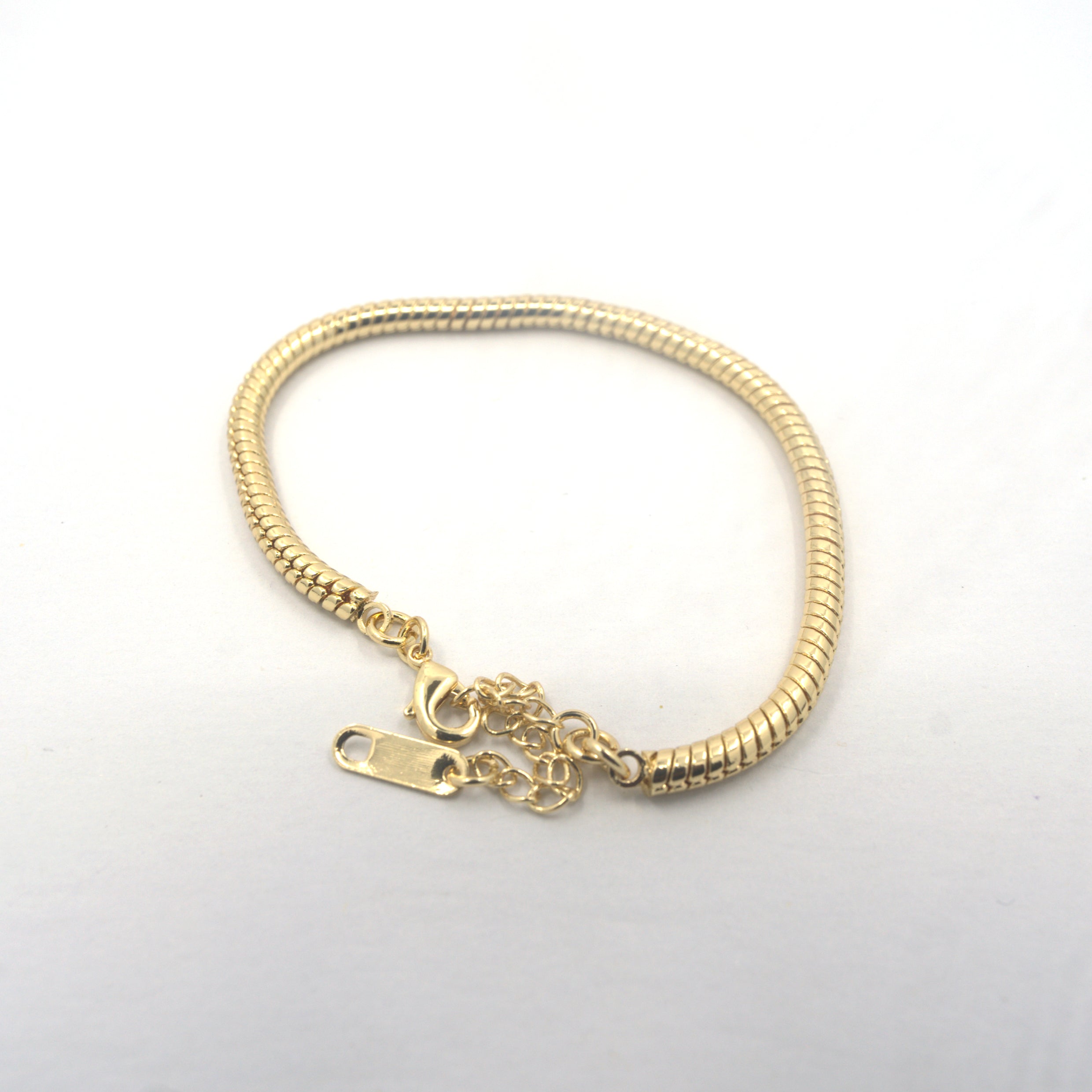 Snake Chain Bracelet