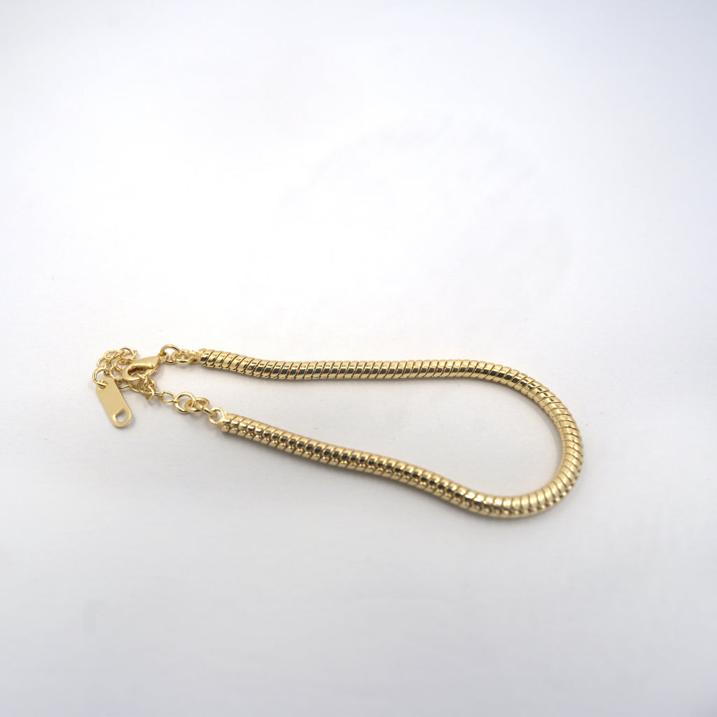 Snake Chain Bracelet