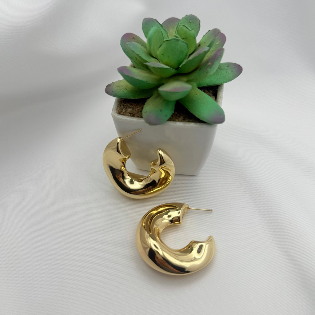 Gold hoop earrings with a small potted succulent on a white background