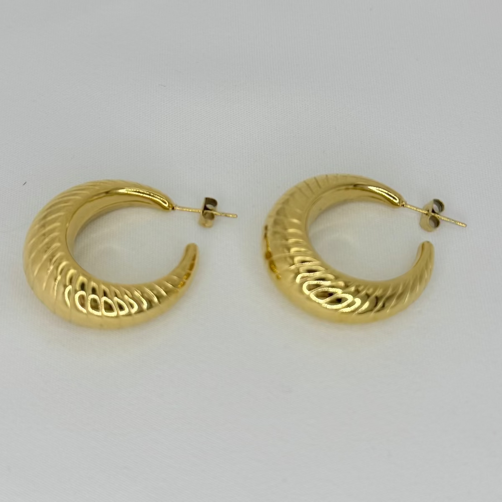Crescent Moon Earrings