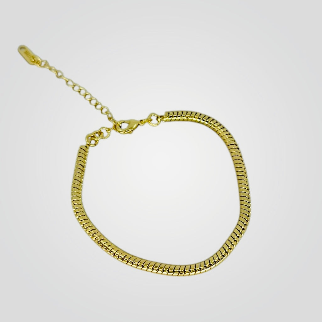 Snake Chain Bracelet